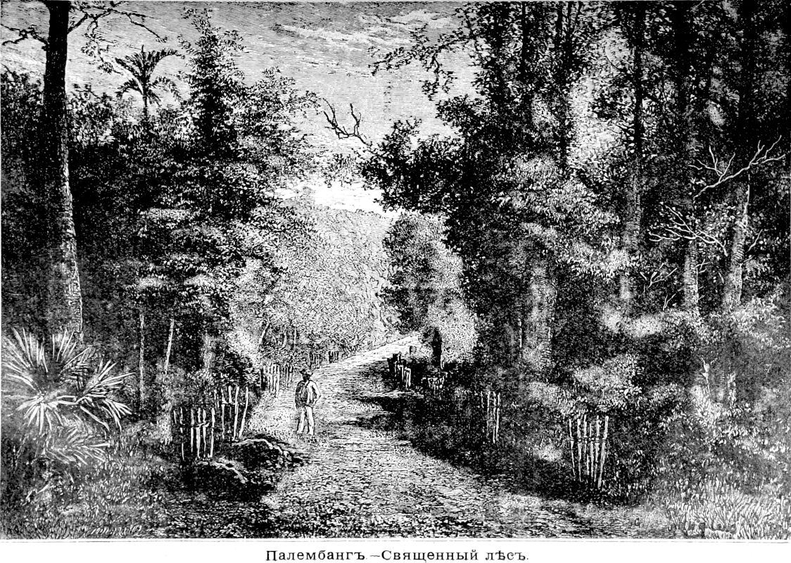 181 Палембанг - Священный лес